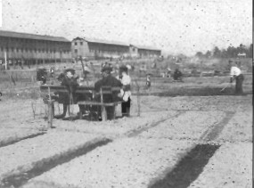 Garden in prison camp