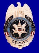 Second National Issue Badge - Deputy
