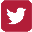 Twitter icon in red color