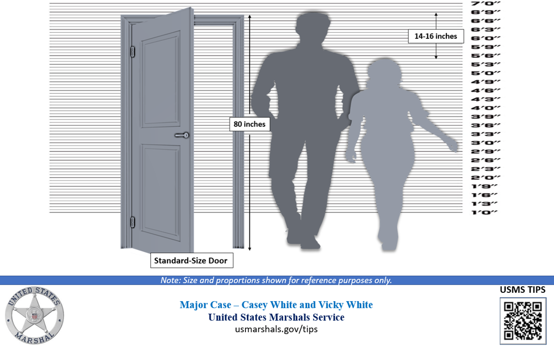 White and White size proportion