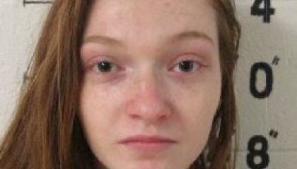 Fugitive Summer Adjutant